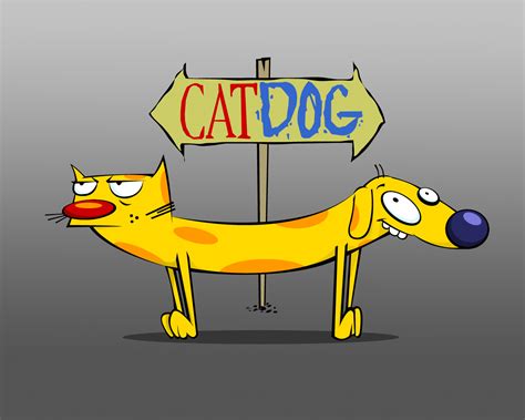 CAT DOG